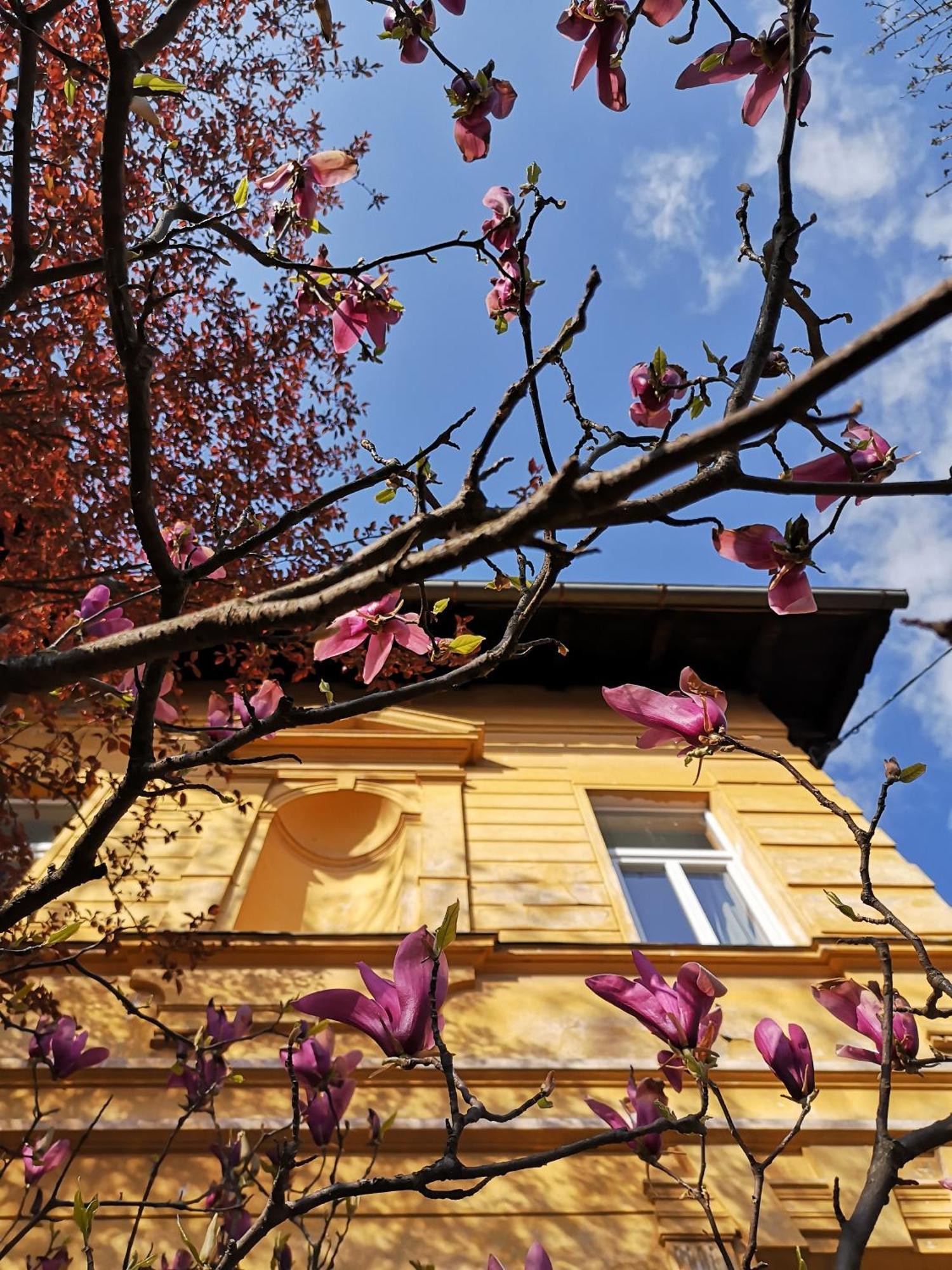 The Villa, Ljubljana City Center Extérieur photo